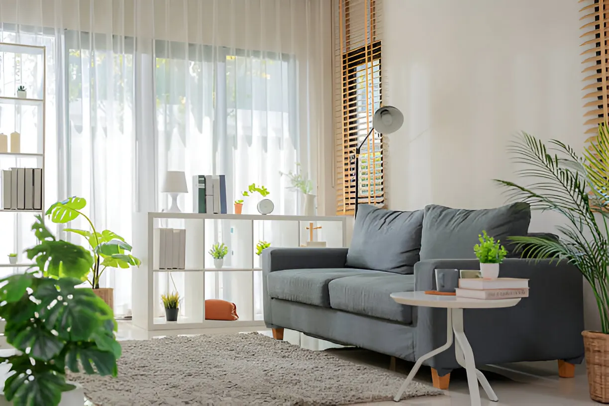 Elegant Drapery & Curtains