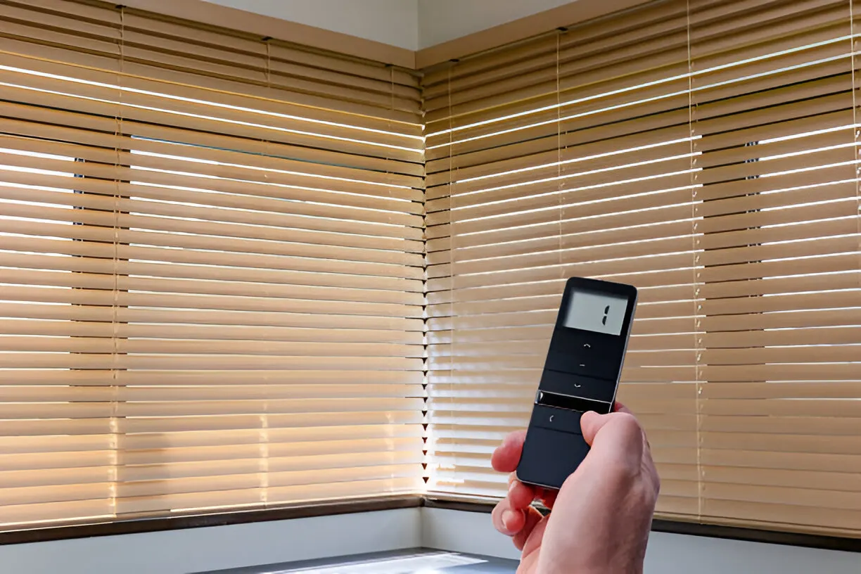 Smart Home & Motorized Automation