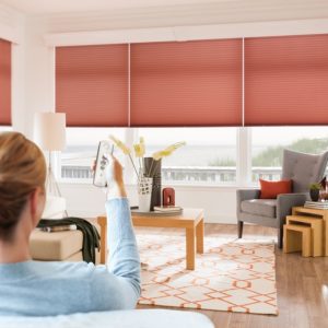 realimageWindow-Blinds-Automated